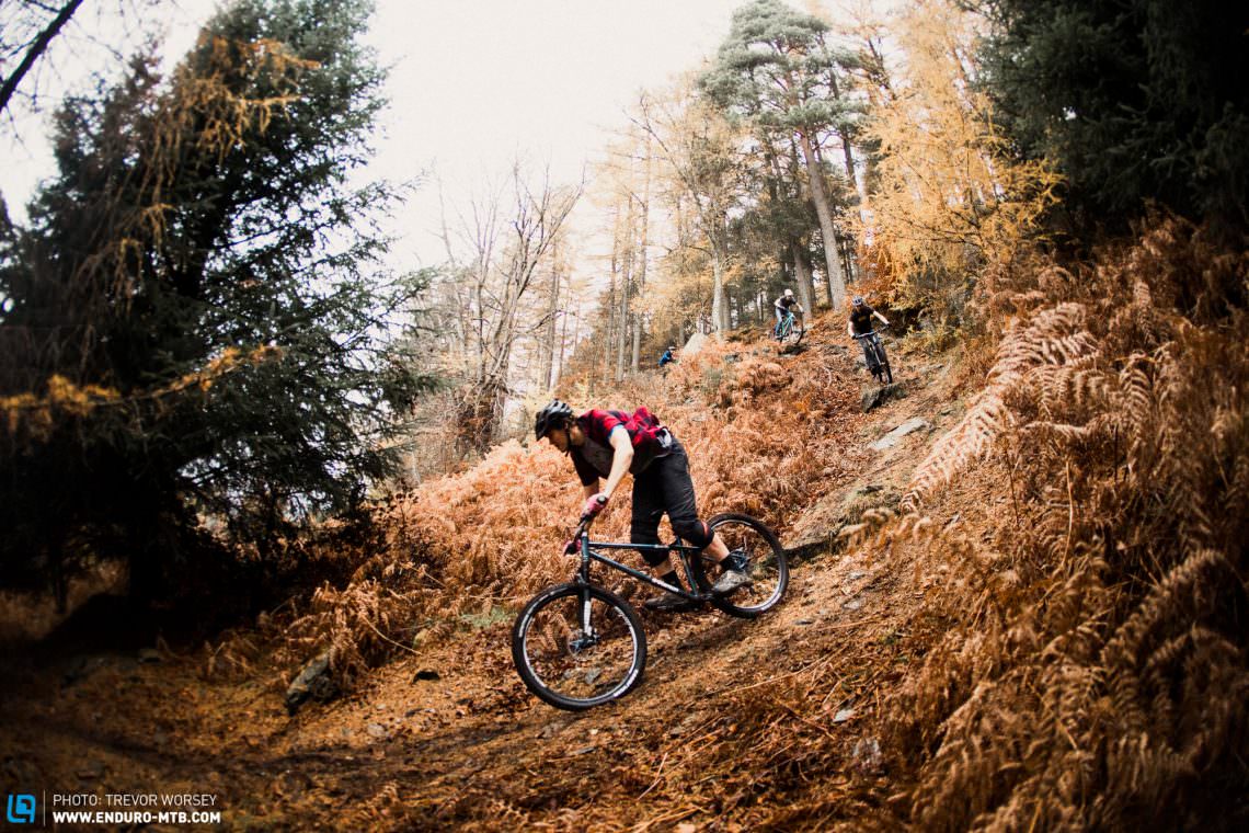 Raychell+（レイチェルプラス）R＋705 Sho walk（ショーウォーク