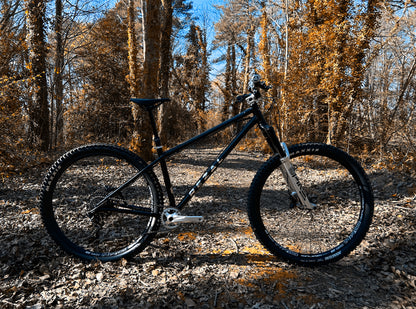 Rezal Mamba Frame
