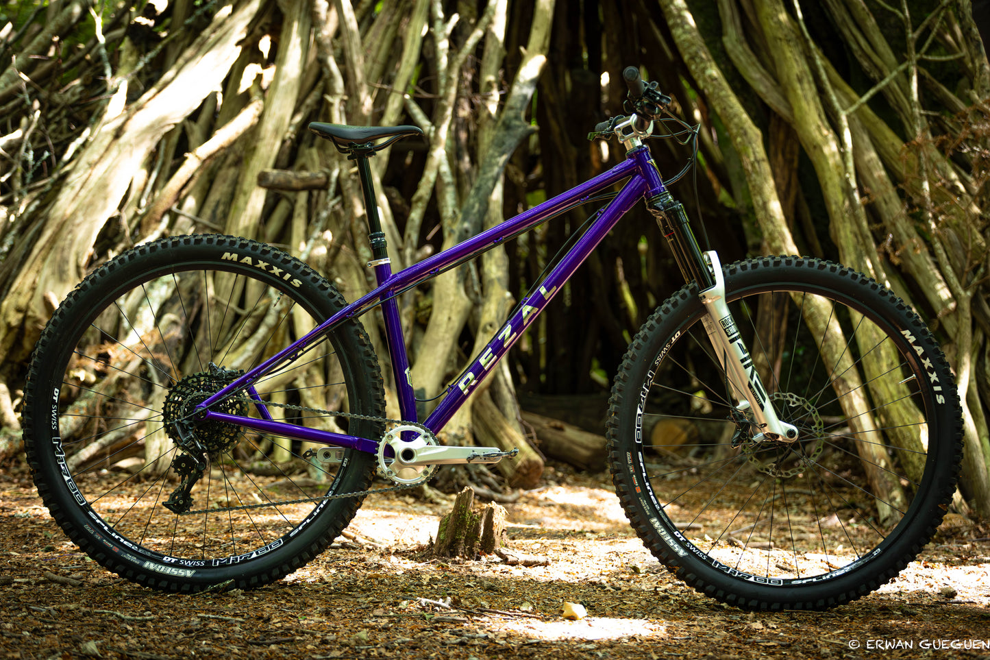 Rezal Mamba Frame