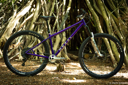 Rezal Mamba Frame