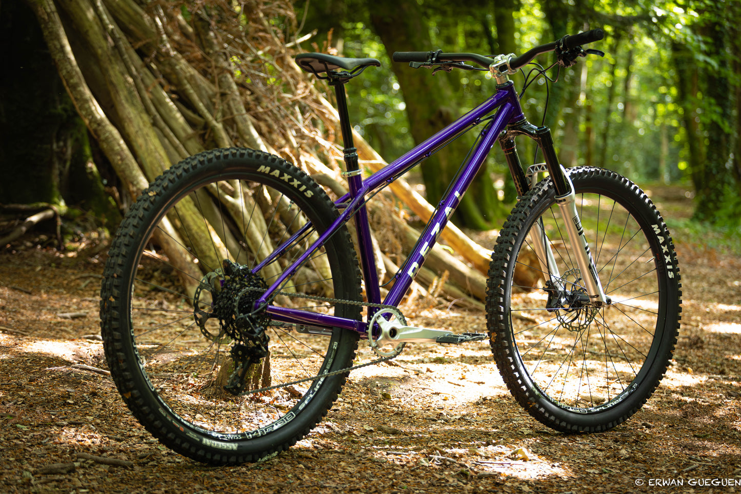 Rezal Mamba Frame