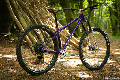 Rezal Mamba Frame