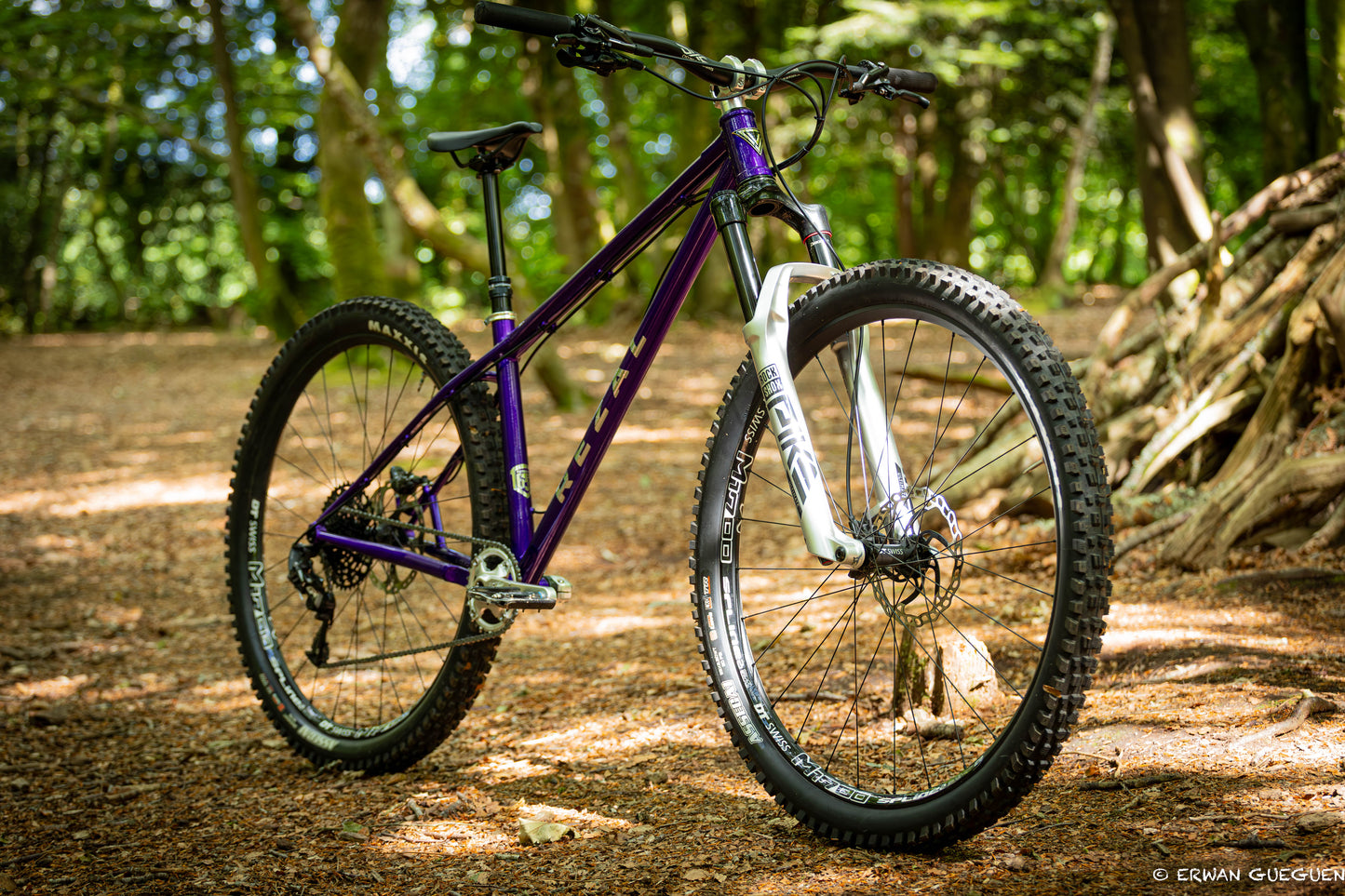 Rezal Mamba Frame