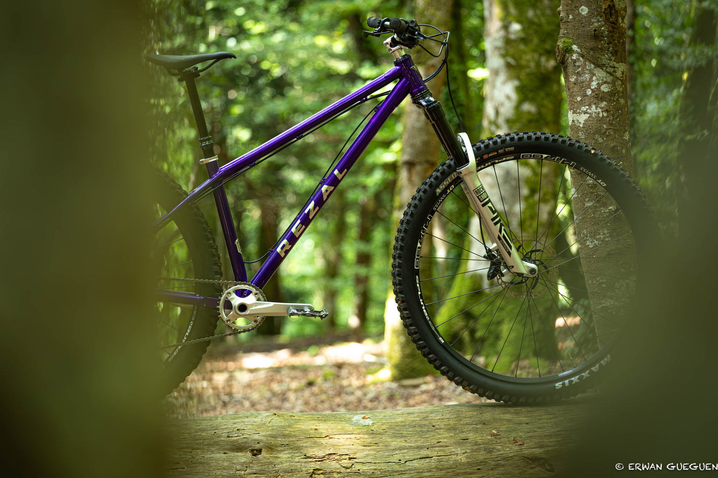 Rezal Mamba Frame