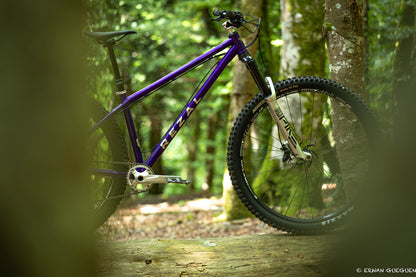 Rezal Mamba Frame