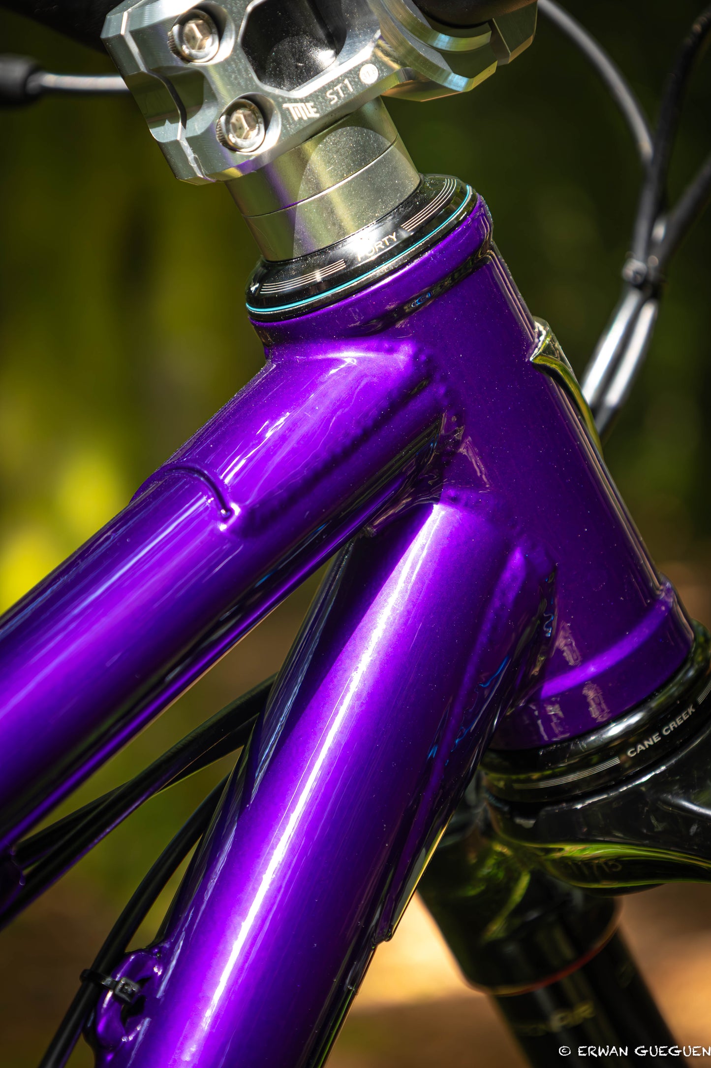 Rezal Mamba Frame
