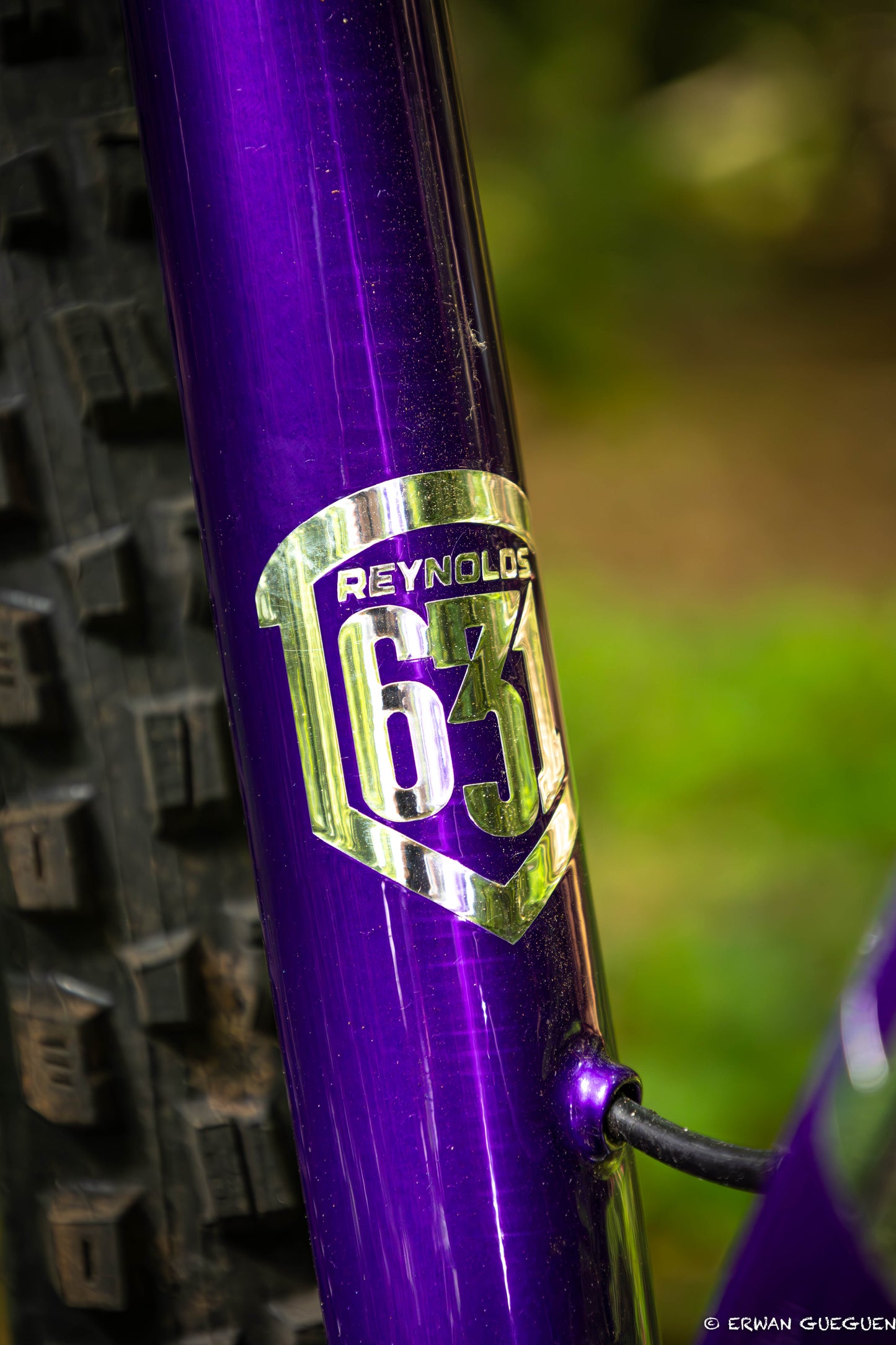 Rezal Mamba Frame