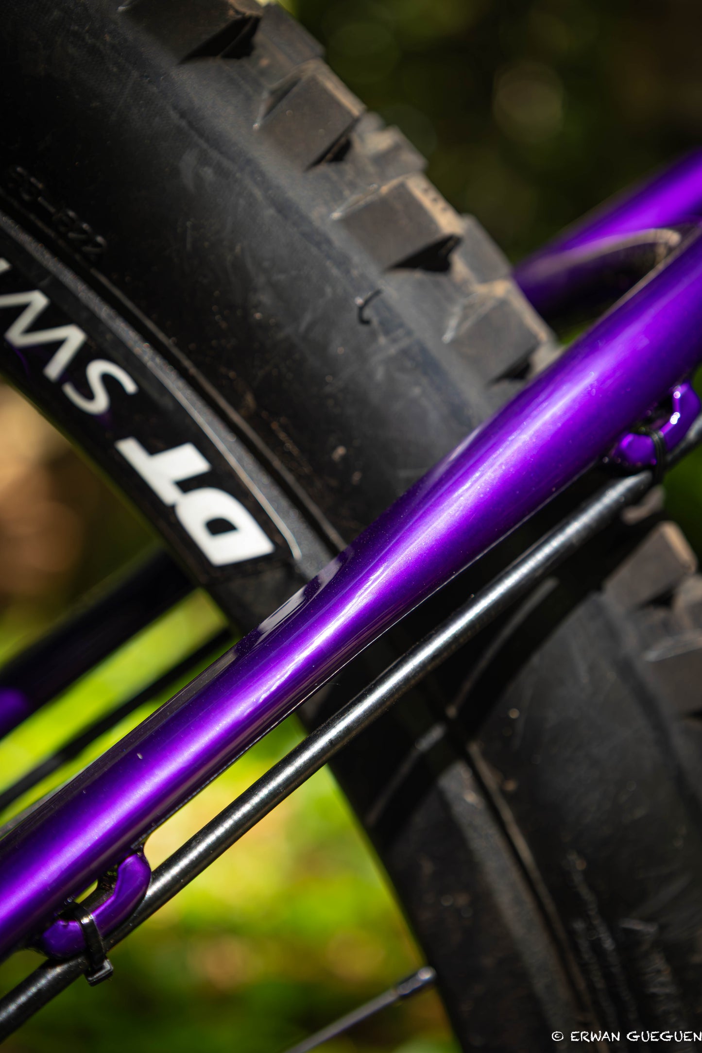 Rezal Mamba Frame