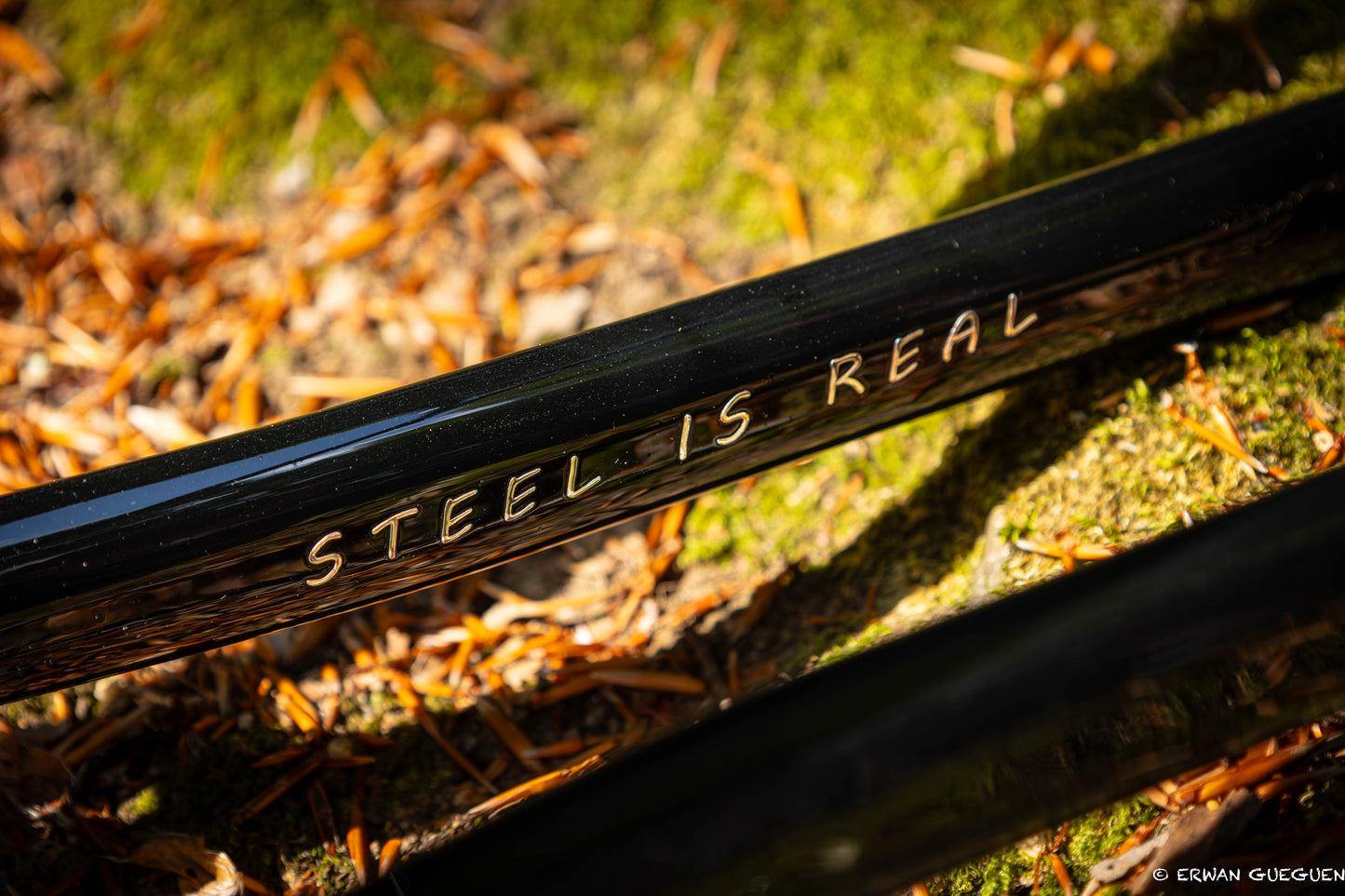Rezal Mamba Frame