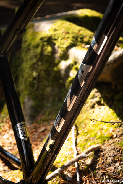 Rezal Mamba Frame